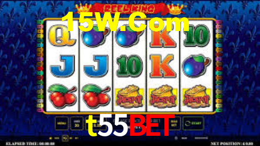 Premium Interface t55bet